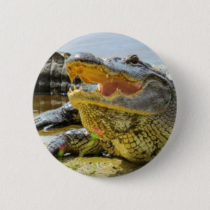 Badge Rond 5 Cm Portrait d'alligator américain - face à face