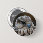 Badge Rond 5 Cm Portrait de Falco cherrug (Devant & derrière)