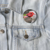 Badge Rond 5 Cm Portrait du canard musqué (En situation)