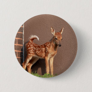 Badge Rond 5 Cm Portrait d'un faon (cerf de Virginie)
