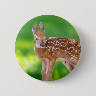 Badge Rond 5 Cm Portrait d'un nouveau-né (cerf de Virginie)