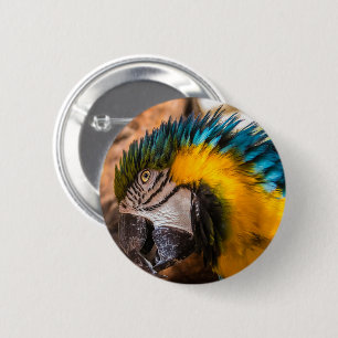 Badge Rond 5 Cm Portrait en macao bleu et jaune