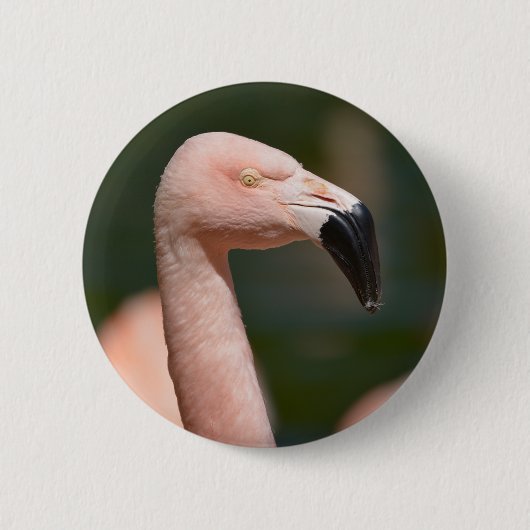 Badge Rond 5 Cm Portrait flamingo (Devant)