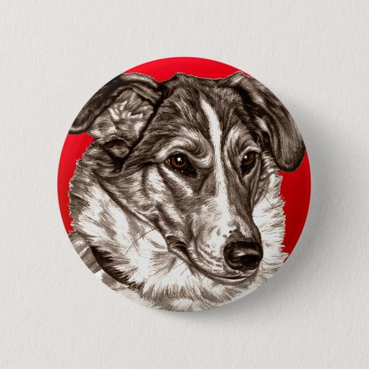 Badge Rond 5 Cm Portrait lisse de colley (Devant)