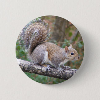 Badge Rond 5 Cm Pose d'écureuil