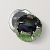 Badge Rond 5 Cm Position aux cheveux courts de chiwawa (Devant & derrière)