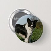 Badge Rond 5 Cm Position de border collie (Devant & derrière)
