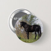 Badge Rond 5 Cm Position de cheval de pur sang (Devant & derrière)