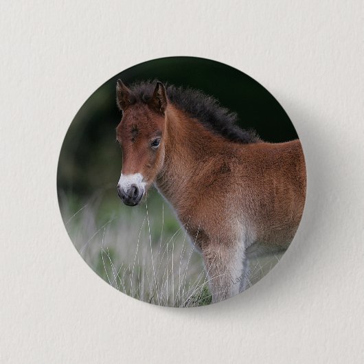 Badge Rond 5 Cm Position de poulain (Devant)