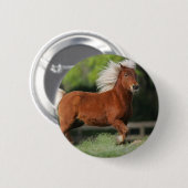 Badge Rond 5 Cm Position miniature de cheval (Devant & derrière)