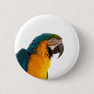 Badge Rond 5 Cm Post-it Notes perroquet