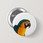 Badge Rond 5 Cm Post-it Notes perroquet (Devant & derrière)