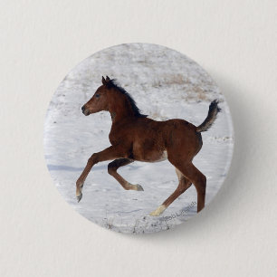 Badge Rond 5 Cm Poulain arabe dans la neige