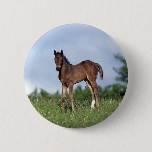 Badge Rond 5 Cm Poulain de pur sang se tenant dans l'herbe (Devant)