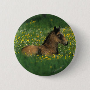 Badge Rond 5 Cm Poulain fixant en fleurs