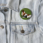 Badge Rond 5 Cm Poulain s'étendant dans l'herbe (En situation)
