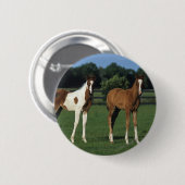 Badge Rond 5 Cm Poulains d'Arabe se tenant dans le domaine herbeux (Devant & derrière)