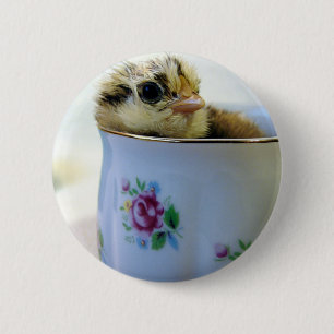 Badge Rond 5 Cm Poule aux oeufs de Pâques en coupe