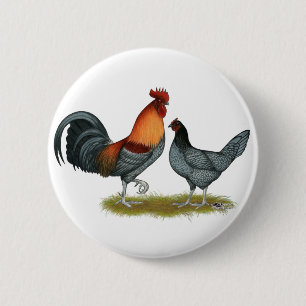 Badge Rond 5 Cm Poule bleue du Delaware
