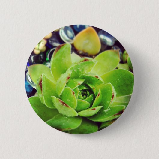 Badge Rond 5 Cm Poules et poules (Devant)