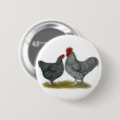 Badge Rond 5 Cm Poulets de Maline (Devant & derrière)