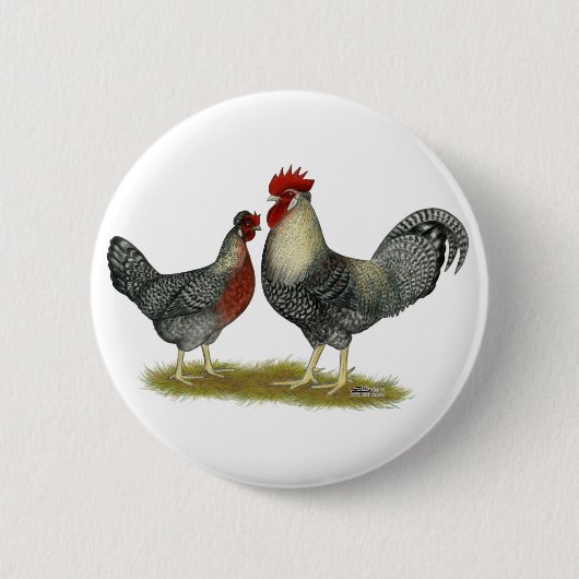 Badge Rond 5 Cm Poulets Legbar à la crème (Devant)