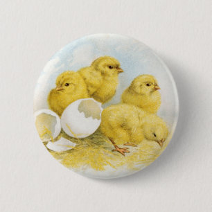 Badge Rond 5 Cm Poulets vintages de bébé