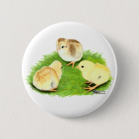 Badge Rond 5 Cm Poussins Aseel Blé (Devant)