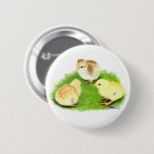 Badge Rond 5 Cm Poussins Aseel Blé (Devant & derrière)