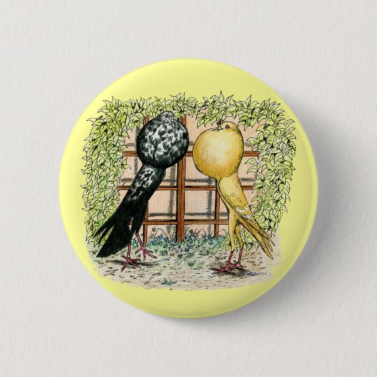 Badge Rond 5 Cm Pouter :  Brunners (Devant)