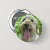 Badge Rond 5 Cm Produits de Goldendoodle (Devant & derrière)