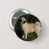 Badge Rond 5 Cm Profil de carlin de faon (Devant & derrière)