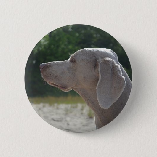 Badge Rond 5 Cm Profil doux de chien de Weimaraner (Devant)