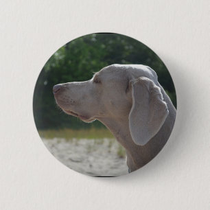 Badge Rond 5 Cm Profil doux de chien de Weimaraner
