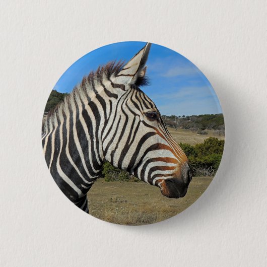 Badge Rond 5 Cm Profil Zebra de Hartmann à Fossil Rim (Devant)