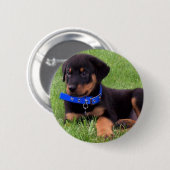 Badge Rond 5 Cm pubs de rottweiler (Devant & derrière)