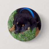 Badge Rond 5 Cm pubs de rottweiler (Devant)