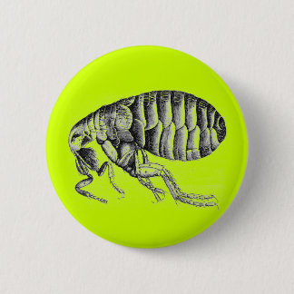 Badge Rond 5 Cm Puce de peste