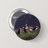 Badge Rond 5 Cm Puffins de l'Atlantique (Devant & derrière)