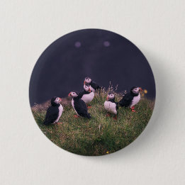 Badge Rond 5 Cm Puffins de l'Atlantique