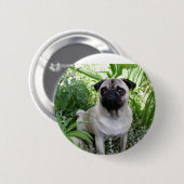 Badge Rond 5 Cm pug assis (Devant & derrière)