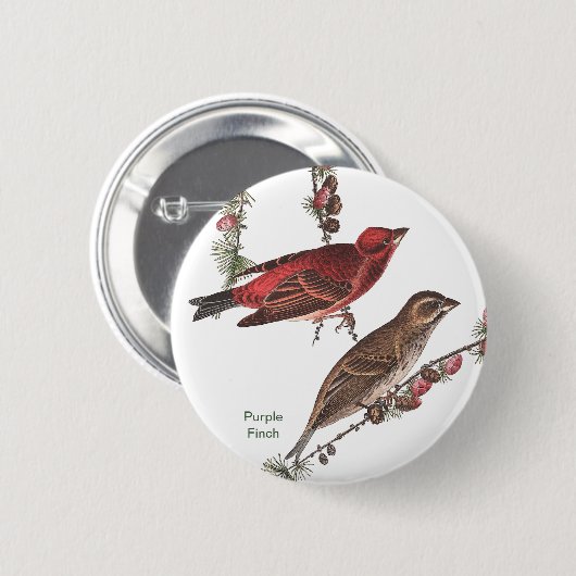 Badge Rond 5 Cm Purple Finch, John James Audubon, Birdwatcher Bird (Devant & derrière)