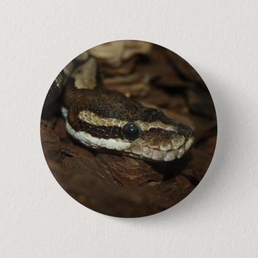Badge Rond 5 Cm Python Brown (Devant)