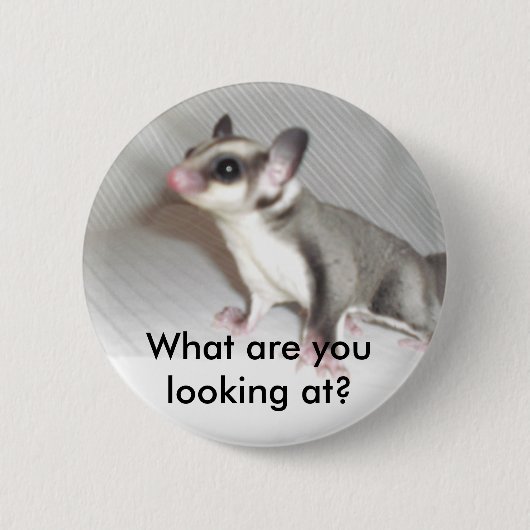 Badge Rond 5 Cm Que regardez-vous ? (Devant)