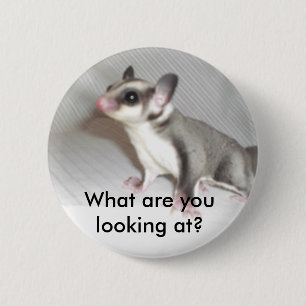 Badge Rond 5 Cm Que regardez-vous ?