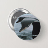 Badge Rond 5 Cm Queue de baleine de bosse (Devant & derrière)