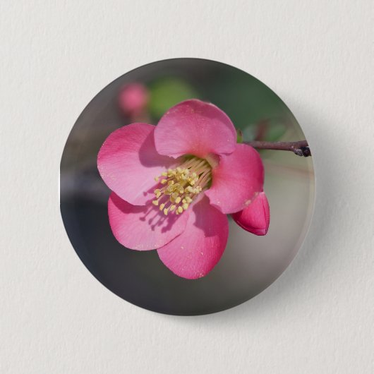 Badge Rond 5 Cm Quince à fleurs roses parfaite (Devant)