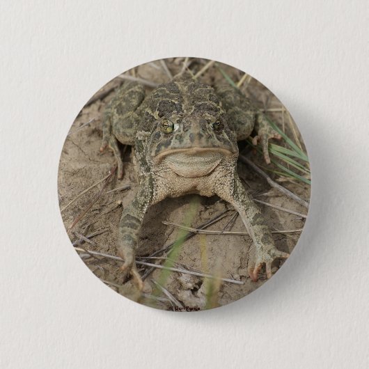 Badge Rond 5 Cm R10 Prairie Toad (Devant)