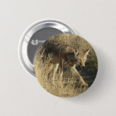 Badge Rond 5 Cm R14 Coyote Walking (Devant & derrière)