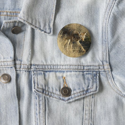 Badge Rond 5 Cm R14 Coyote Walking (En situation)